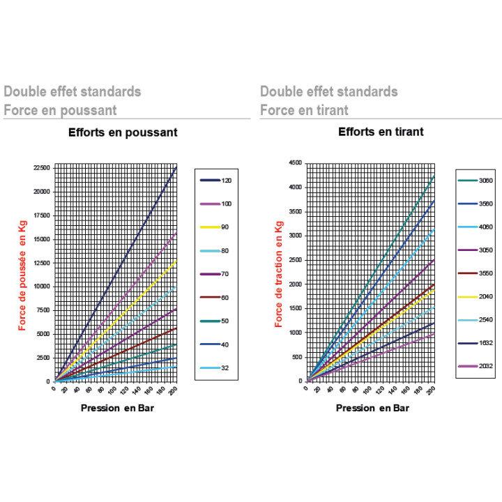 Vérin double effet standard Ø60x35 Course 800
